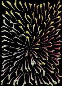 Winner of First Annual Art of Science Competition