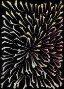 Winner of First Annual Art of Science Competition