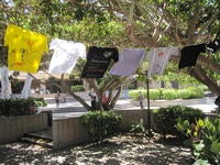 Image of Clothesline Project display with several t-shirts