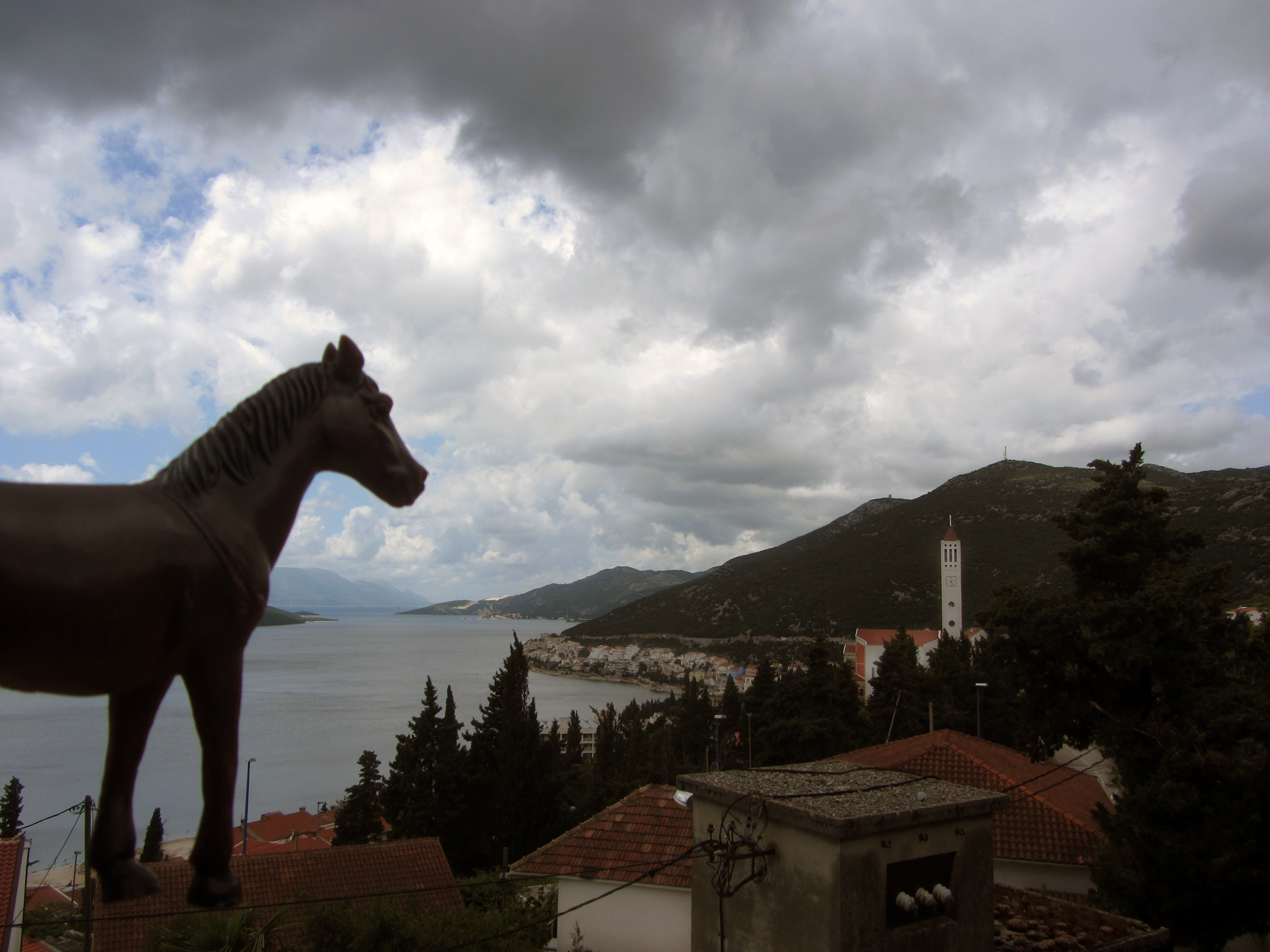 HORSE IN BOSNIA, HERD AROUND THE WORLD. Credit: RT Livingston