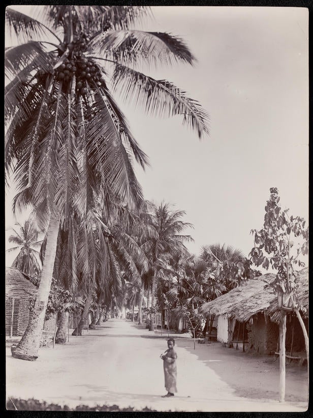 Bagamoyo