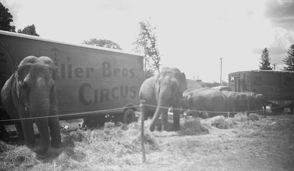 Circus photo, PA Mss 67