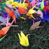 Origami cranes in grass