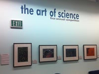 The Art of Science Gallery View