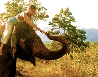 Carly Tansil, <em>Elephant Valley Ride</em>