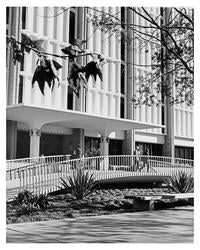 Photograph of 8-story tower, 1971