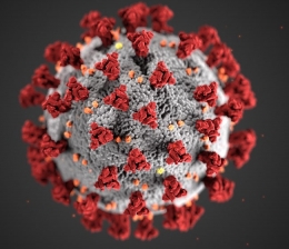 CDC Coronavirus Image