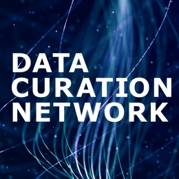 Data Curation Network logo