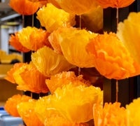 Paper marigolds in the Library