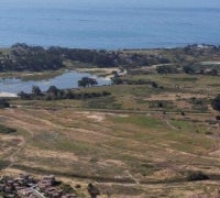 Ocean Meadows