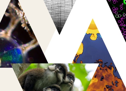 Art of Science Logo