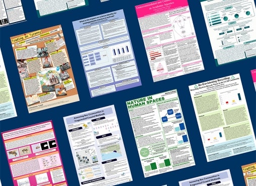 Undergraduate Research & Creative Activities Showcase Posters